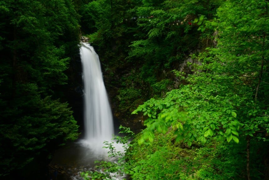 Karadeniz Yaylalar ve Batum Turu (Batum Konaklamalı) / 6 Gece Otel Konaklamalı / İstanbul Çıkışlı