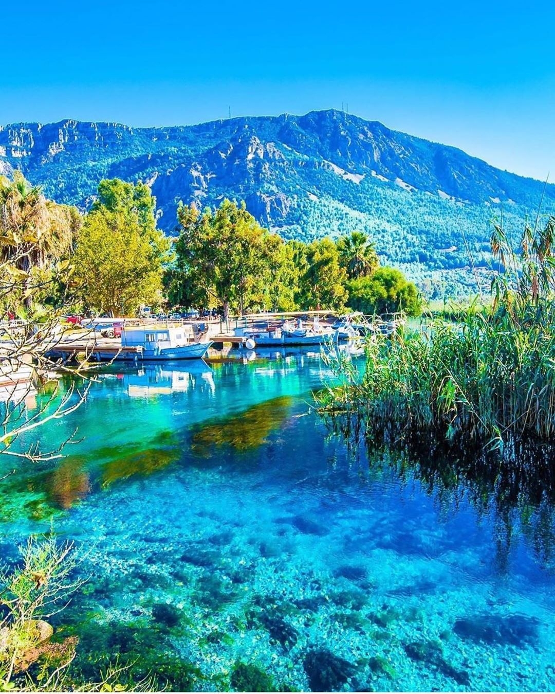 Bodrum Gökova Didim Kuşadası Turu / 3 Gece Otel Konaklamalı / İstanbul Çıkışlı / / Kurban Bayramı Özel